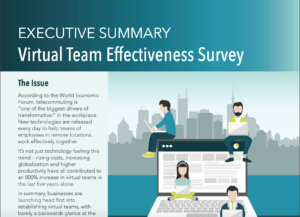 cover for the Virtual Team Effectiveness Survey