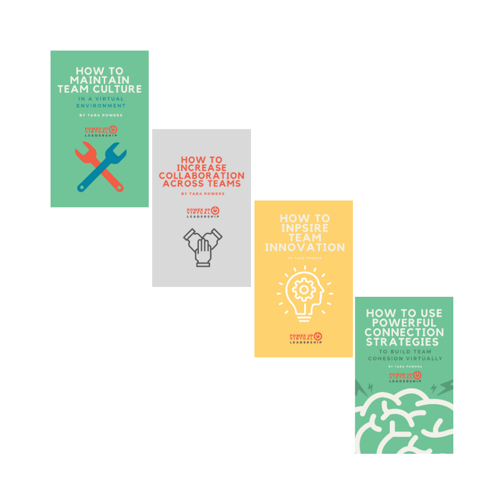 four books on Virtual Leadership